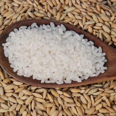 arroz-com-casca-e-arroz-branco
