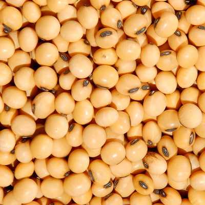 soja-em-grao-500g